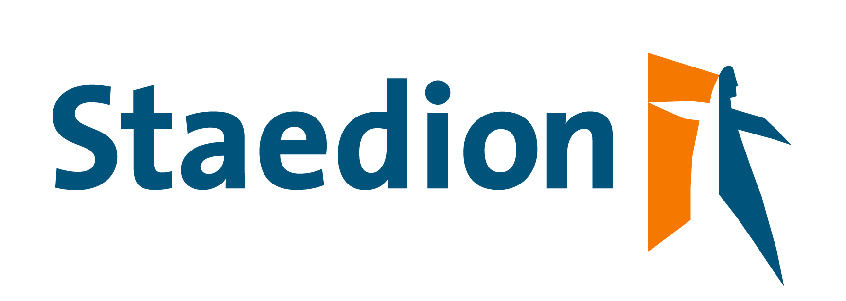 Staedion logo