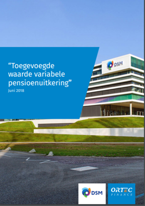 Cover clientstory DSM - nl
